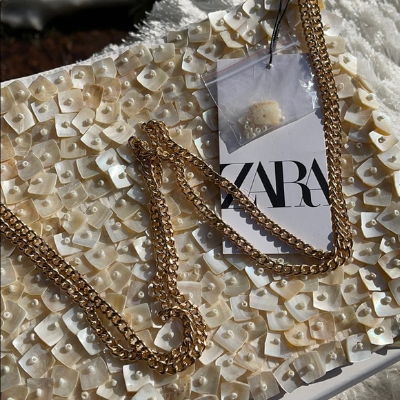 Zara Mother of Pearl Beaded Bag - Picture 7 of 9